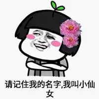 可爱头像小仙女表情包