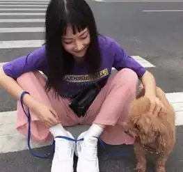 搞笑gif图就是坐姿有点不雅,人和狗狗都很可爱的