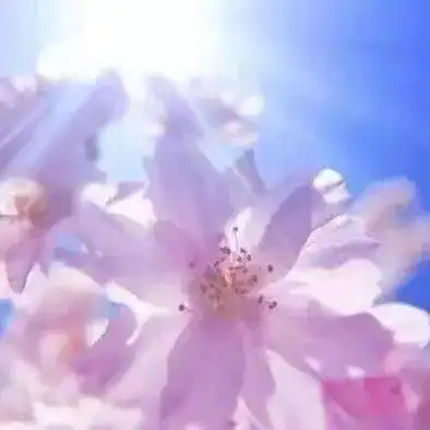 专业解释youknow