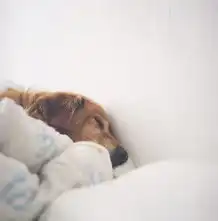 请多留一些时间陪陪我