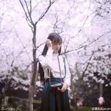 女神晒赏樱照清秀淡雅文艺范儿新浪黑龙江新闻