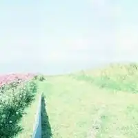适合做微信头像的图片唯美风景头像