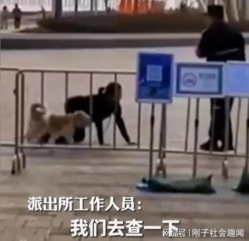 广东深圳一女子和狗栓一根绳跪地爬行,网友狗儿子