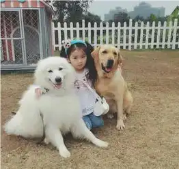 感动世界的那些瞬间