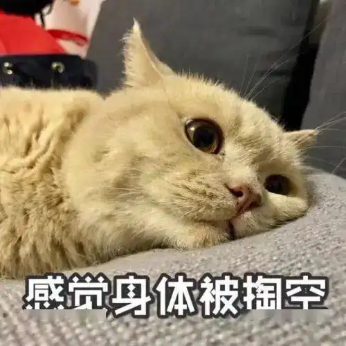 有些女性体毛非常旺盛,这是什么原因呢一起来看看吧