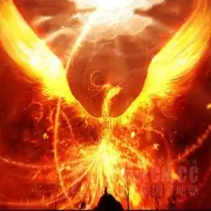 谁有漂亮的凤凰图案做qq头像的