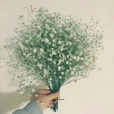 2020好现实的话,读到心寒