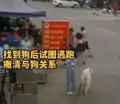 老太太被宠物狗的狗绳绊倒不幸离世,狗主人居然是一个未成年姑娘