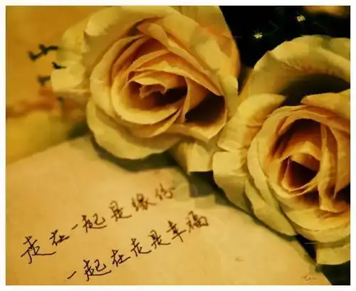 千里赴约竟是场梦,那一年元宵节我出轨后的救赎故事