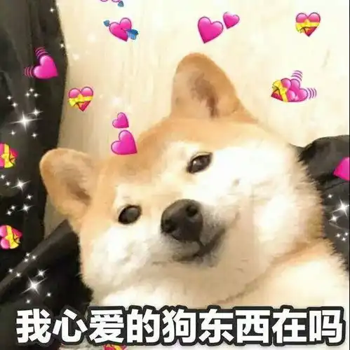 女生和狗狗的头像华爱