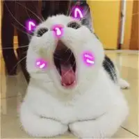 微信漂亮可爱女生萌萌哒头像清晰