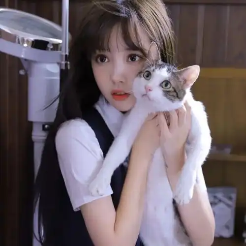 抱猫拍女生头像你要看猫还是看我