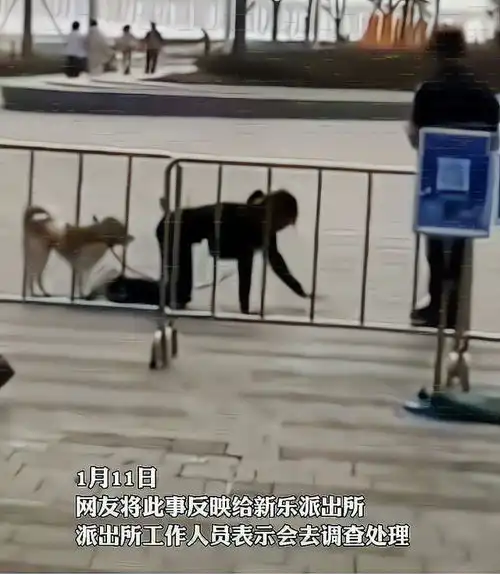 女子跟狗拴在一起爬行,无视保安的劝说,我行我素吓懵路人