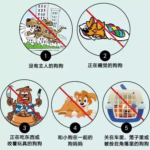 触目惊心广西4岁女童小区内被狗咬得遍体鳞伤,狗主人至今未出现