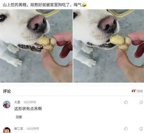 神回复以下两种投篮姿势,哪个比较令女生心动