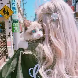 少女与猫头像朋克