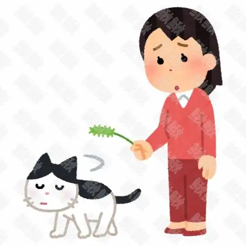 讨厌和女主人关系特别差的小狗狗猫咪小猫手绘卡通插画手绘png儿童插画免扣素材1阿猫阿狗