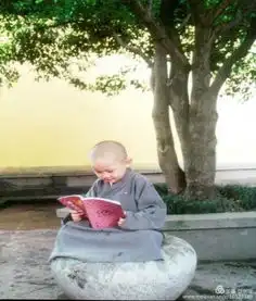 精选了20句佛家心语,一起来领悟提高