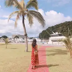 爱上上帝的水族箱帕劳详细攻略带大量图片及视频