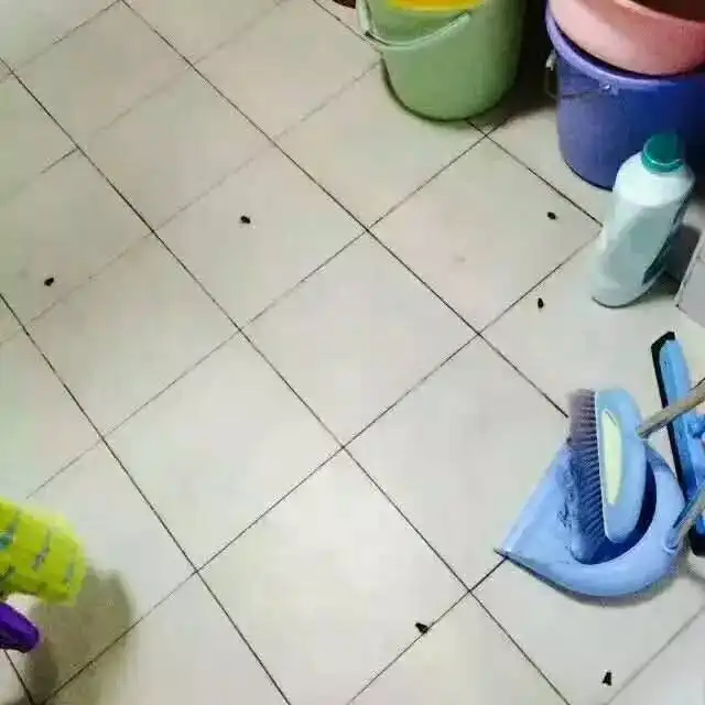 深大吐槽能力最强的段子手竟然都在这里