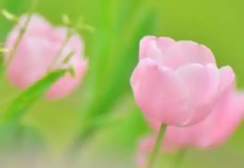 7月财神到,4属相生意火爆,日进斗金,财运走向特别好