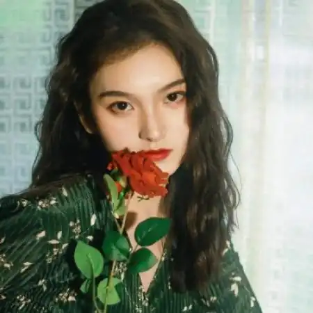 港风美女的头像刘诗诗