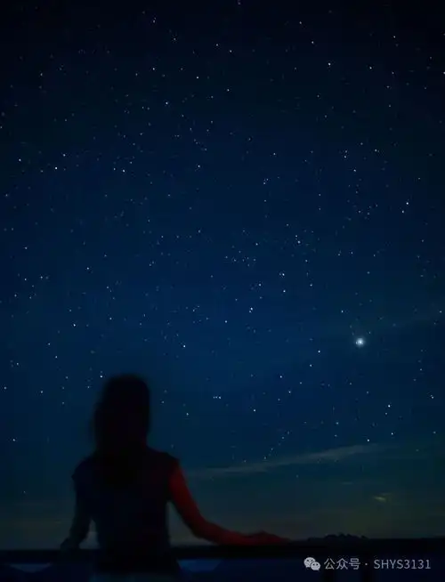 太子尖观星我们都生活在阴沟里,但仍有人在样望星空
