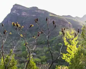 北京房山凤凰山公园景区,你的美将不再沉寂因为来了欣赏你的人