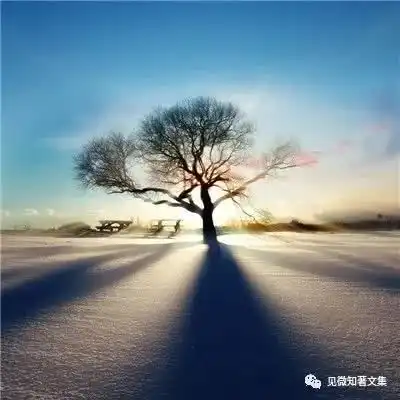 2020年巴菲特致股东的信这几大看点你必须了解
