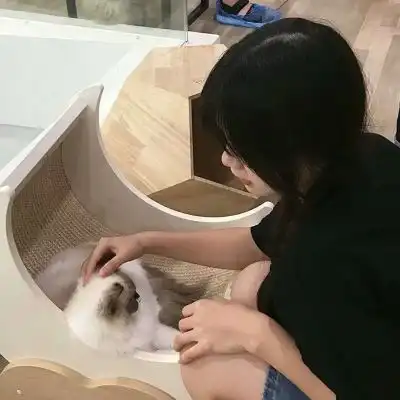 女生头像小众我们都是平凡且不女生头像我要个性网