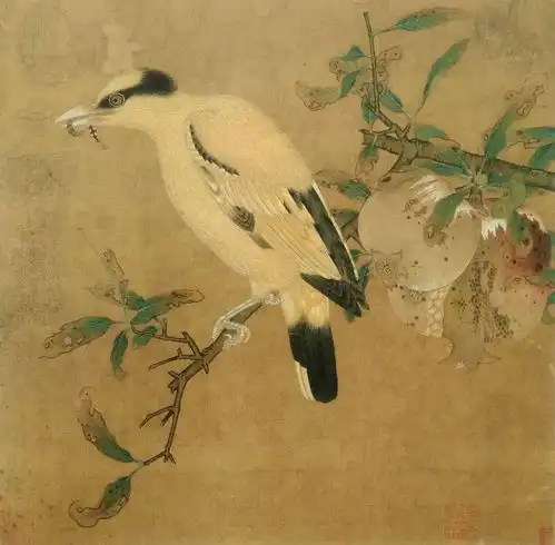 六十幅宋代工笔花鸟小品精选