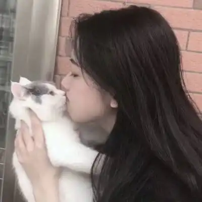少女与猫头像女头