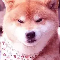 唯美少女心风景背景头像樱花和梦幻天空