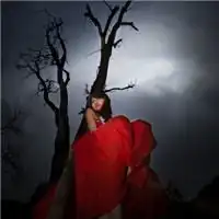 妖艳头像红色红色妖娆美女头像图片