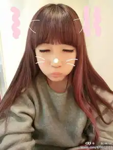 那胡子什么软件的iphone