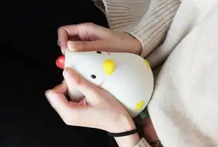 每天早上叫我起床的不是梦想,是一只会说话的....