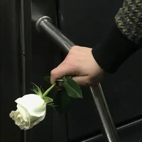 你在网易云音乐上看到过哪些触动内心的热评