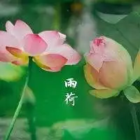 绿色脸谱头像微信头像图片大全