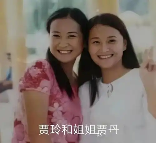 动态头像大全女生贾玲