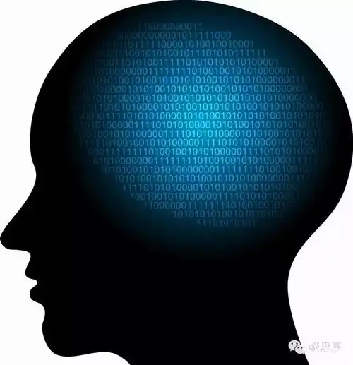 志嵘写九型丨你知道你有三个脑吗