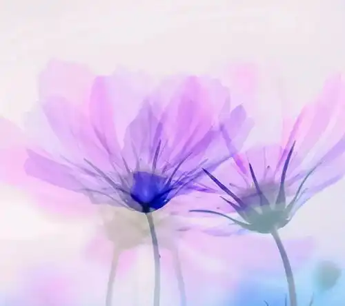 可惜了,一手好牌打的稀巴烂
