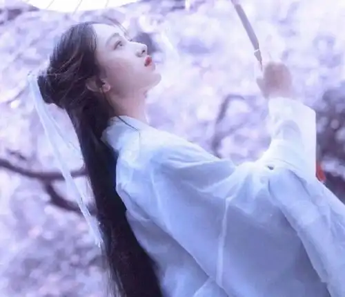 半生风情,痴我一生迷醉