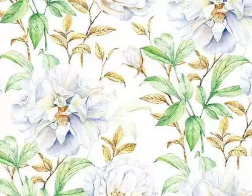 水彩手绘挪威插画师katerynasavchenko唯美怡人的水彩插画