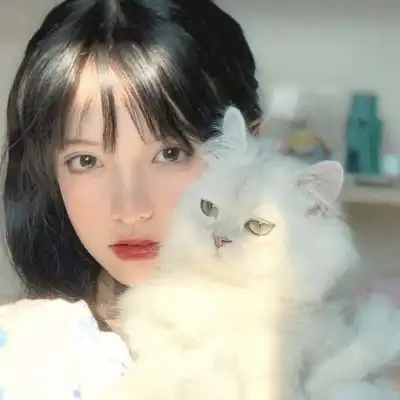 少女与猫头像李凯馨