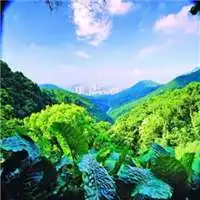 微信风水景头像