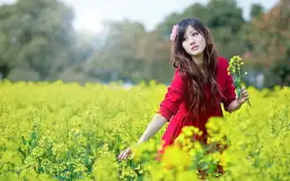 清纯美女头像壁纸欧美
