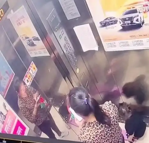 杭州坠楼女孩父母表示保姆在说谎,网友愤怒一定要讨回公道