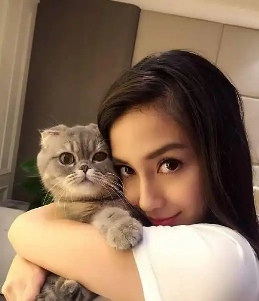 明星养的宠物太奇葩胡歌的猫,赵丽颖的狗,张予曦一般人不敢养