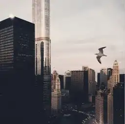 90后萌妹子用iphone6做出超逼真末日景象图