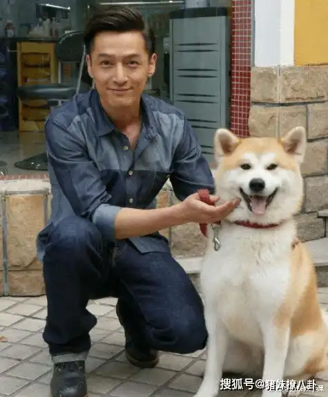 网传胡歌老婆终于现身了胡歌本尊回应,网友看到炸锅了